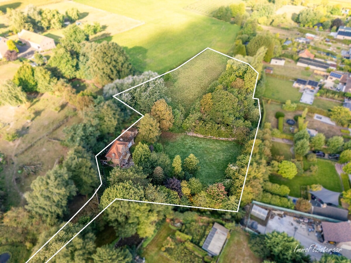 Unique renovation project on a spacious plot of approximately 77 acres in Ransberg (Kortenaken) 