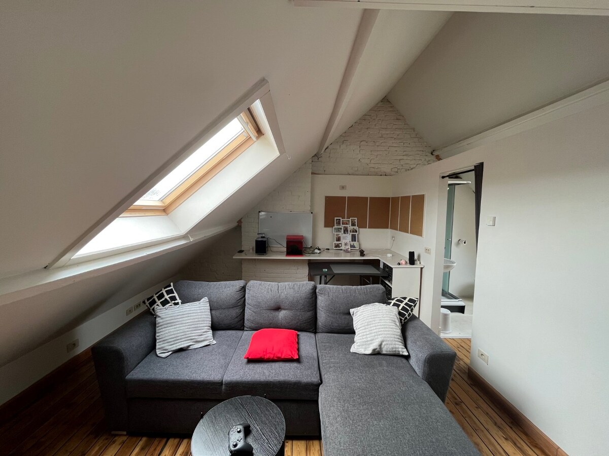 Gezellige duplex nabij 't Zuid - DOMICILIE VERPLICHT ( geen studenten ! ) 