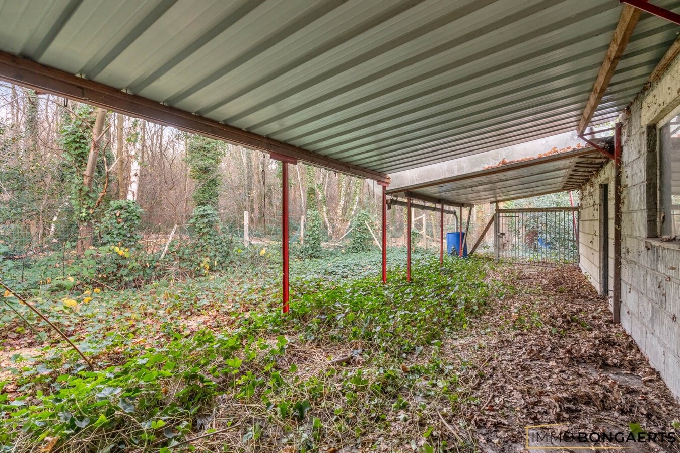 Gelijkvloerse woning met polyvalent bijgebouw 