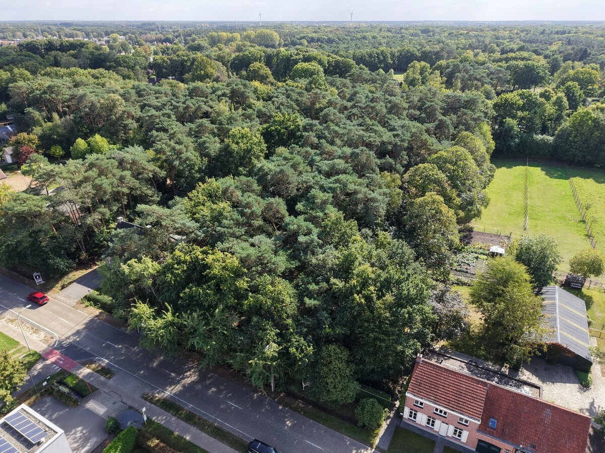 Ruim perceel bouwgrond van 2.708 m² met ideale zuidoriëntatie in Zoersel 