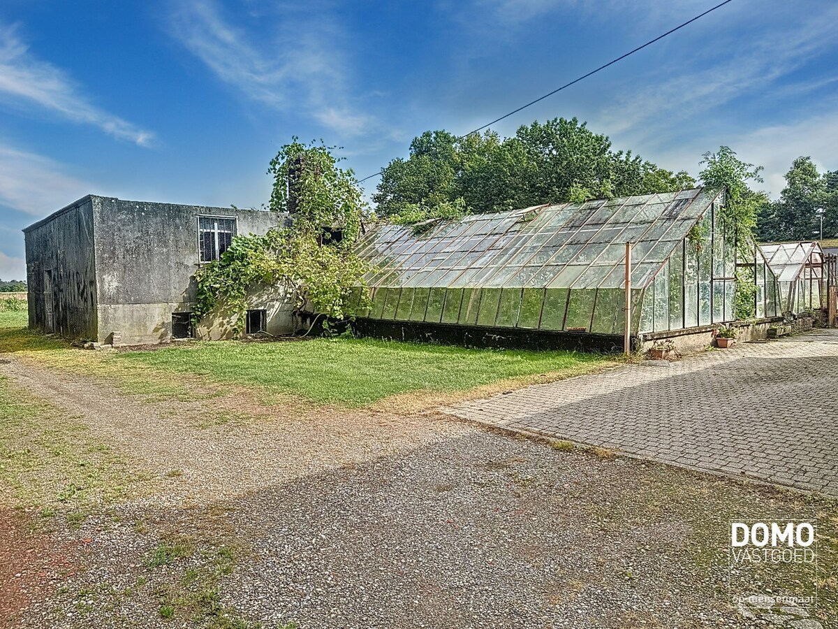 Rustig gelegen woning in het groen te Stevoort met tal van mogelijkheden. 