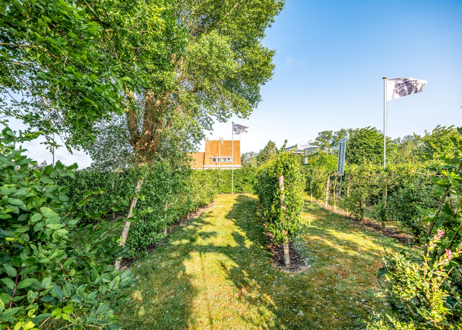 Restaurant met privéwoning en 2 B&amp;B-kamers op 4.370 m² 