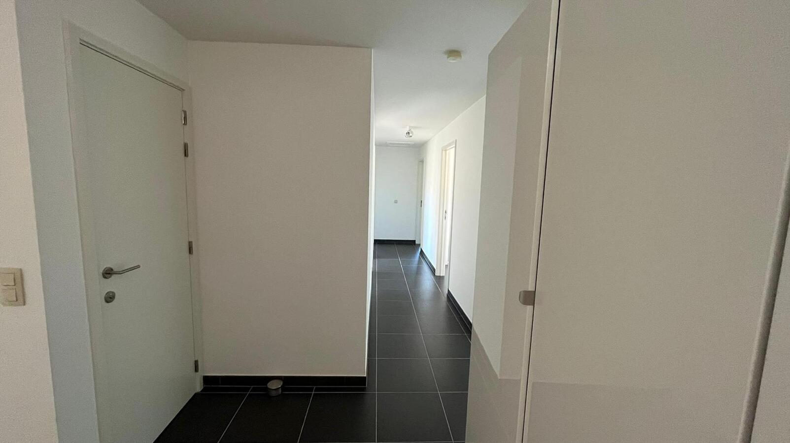 Ruime villa in residentiële wijk te Dikkelvenne 