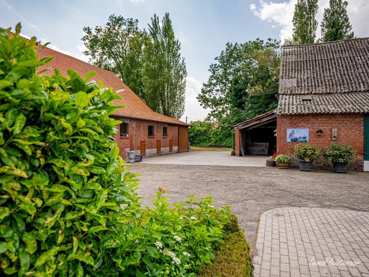 Characteristic long farmhouse with barn on approximately 4.6 hectares in Rijkevorsel. 