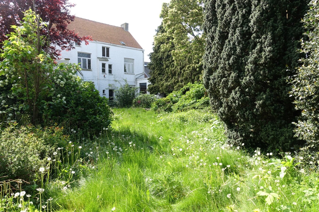 Authentieke herenwoning met tuin 