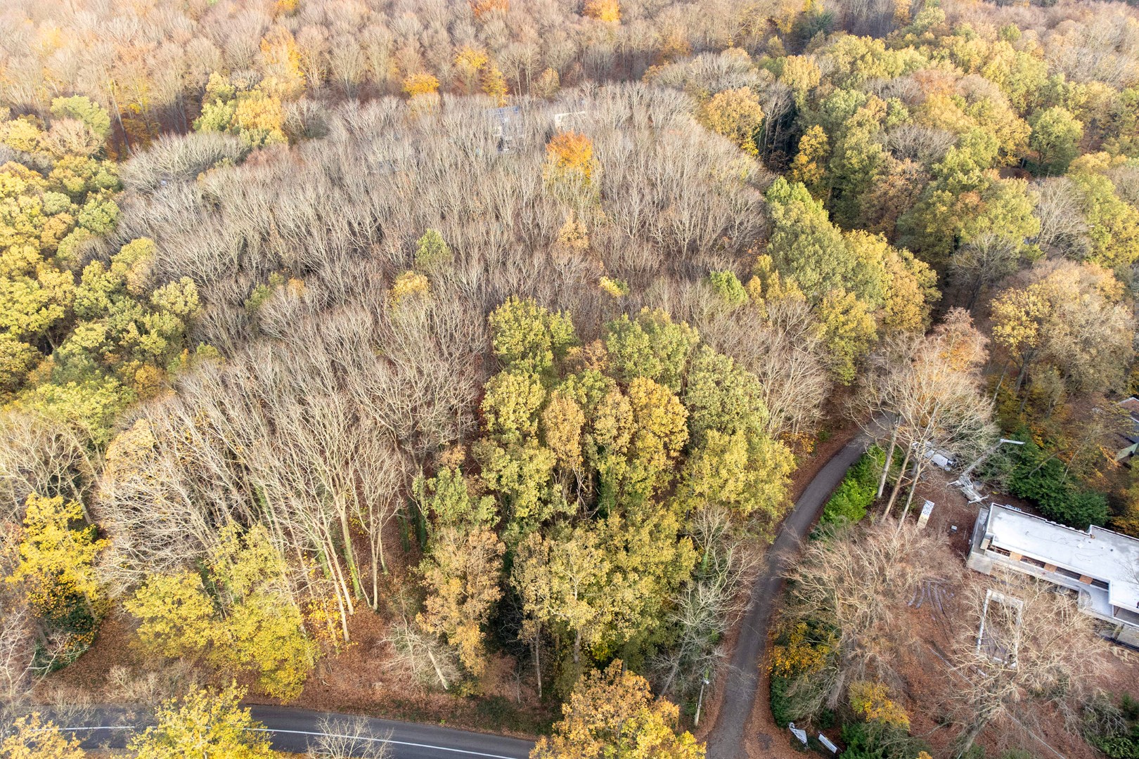 Prachtige bouwgrond van 22a 63ca te koop op een toplocatie in Hoog-Linden! 
