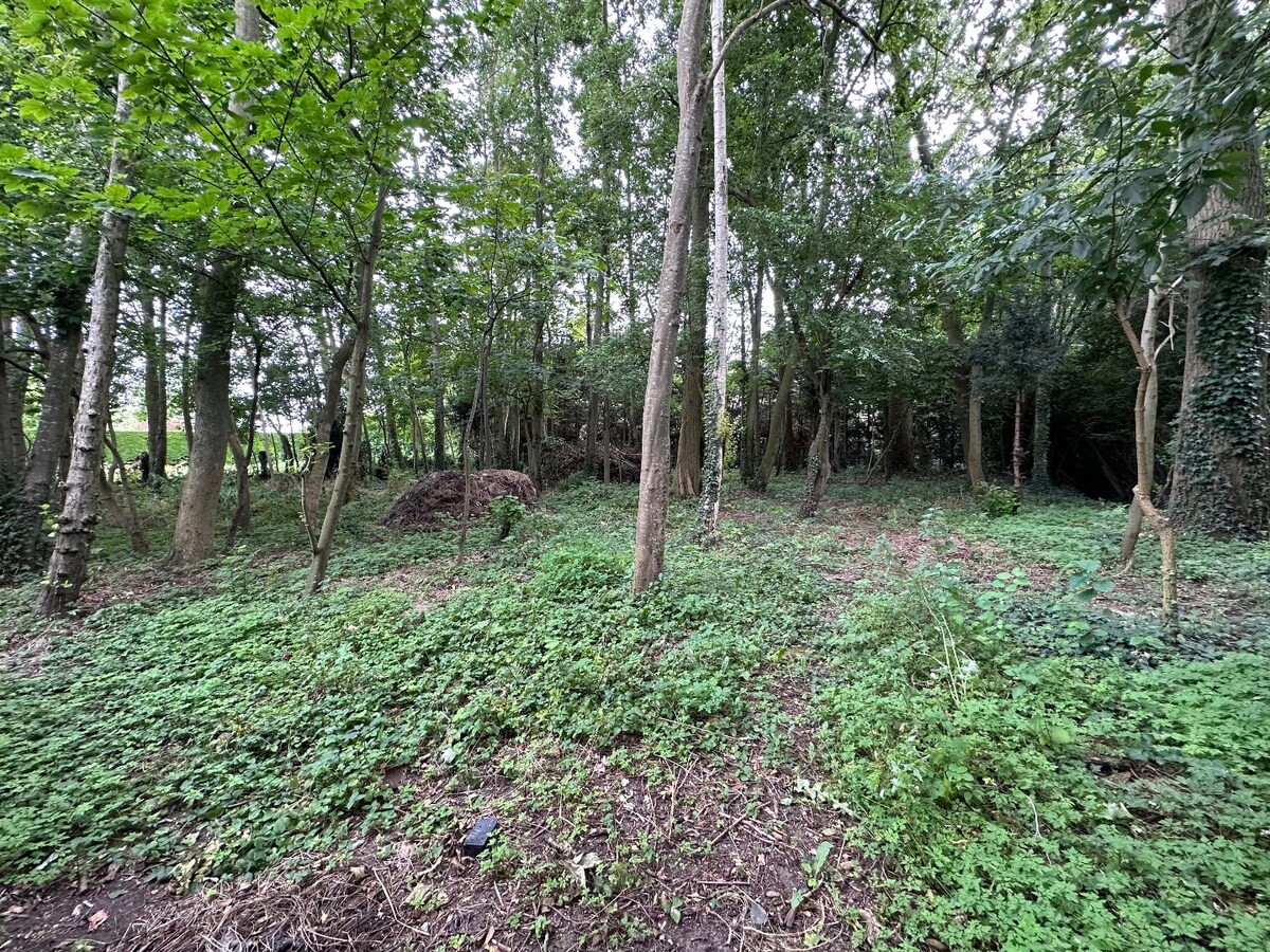 Grond te koop te Koekelare 