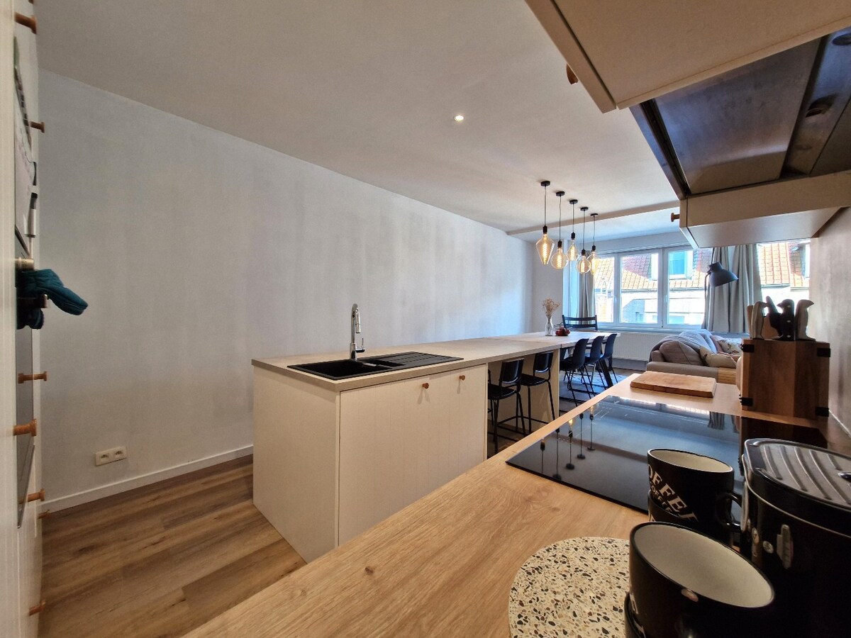 Zeer groot, volledig gerenoveerd duplexappartement te Westkapelle 