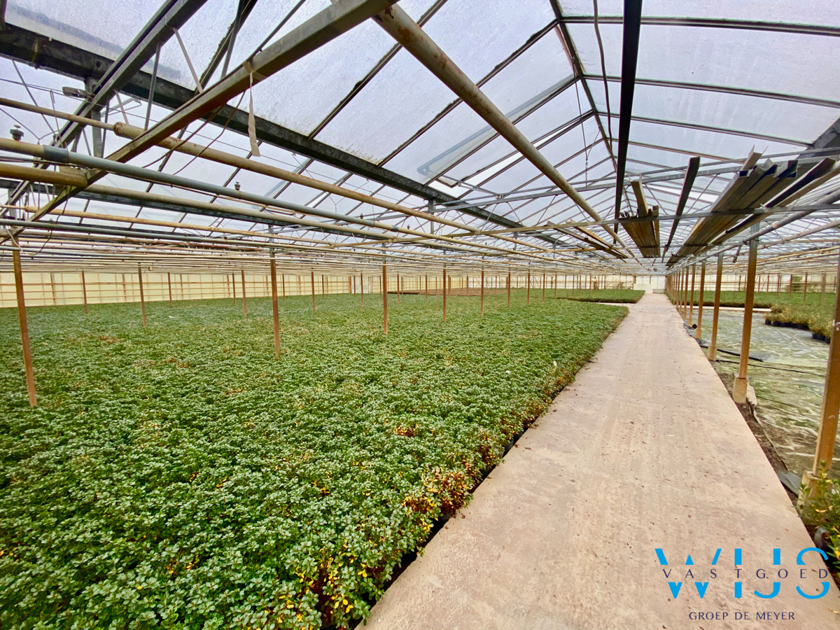 Landbouwgrond MET Serrecomplex te EVERGEM! 