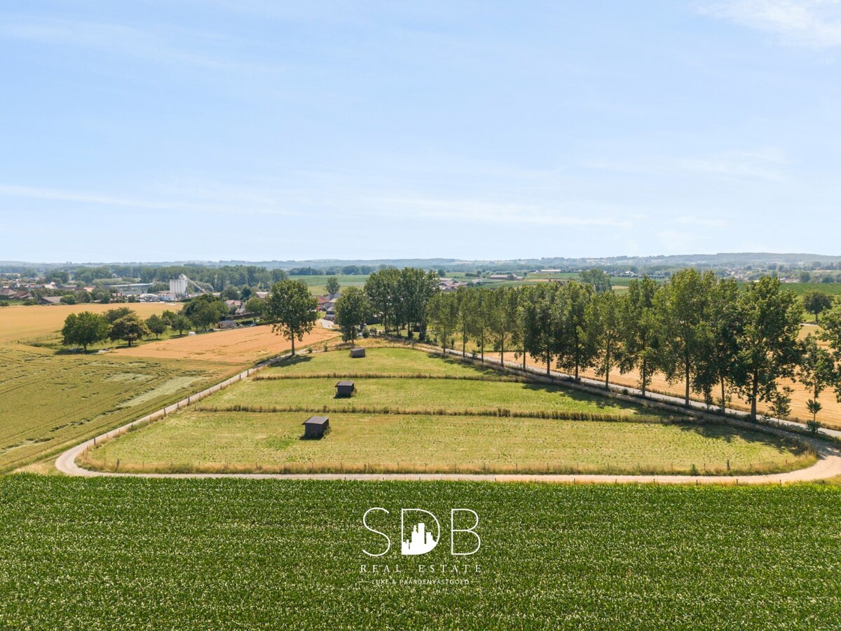 weiland, piste, galoppiste