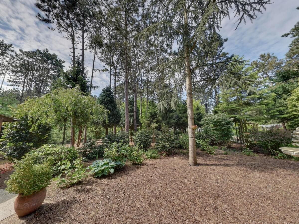 Prachtig stuk bosgrond 