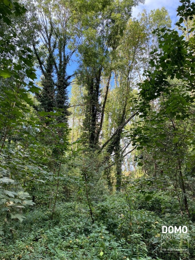 UNIEK DOMEIN MET OFF-GRID VAKANTIEWONING, SCHUUR EN 2 VIJVERS OP 1 HA 41 A 