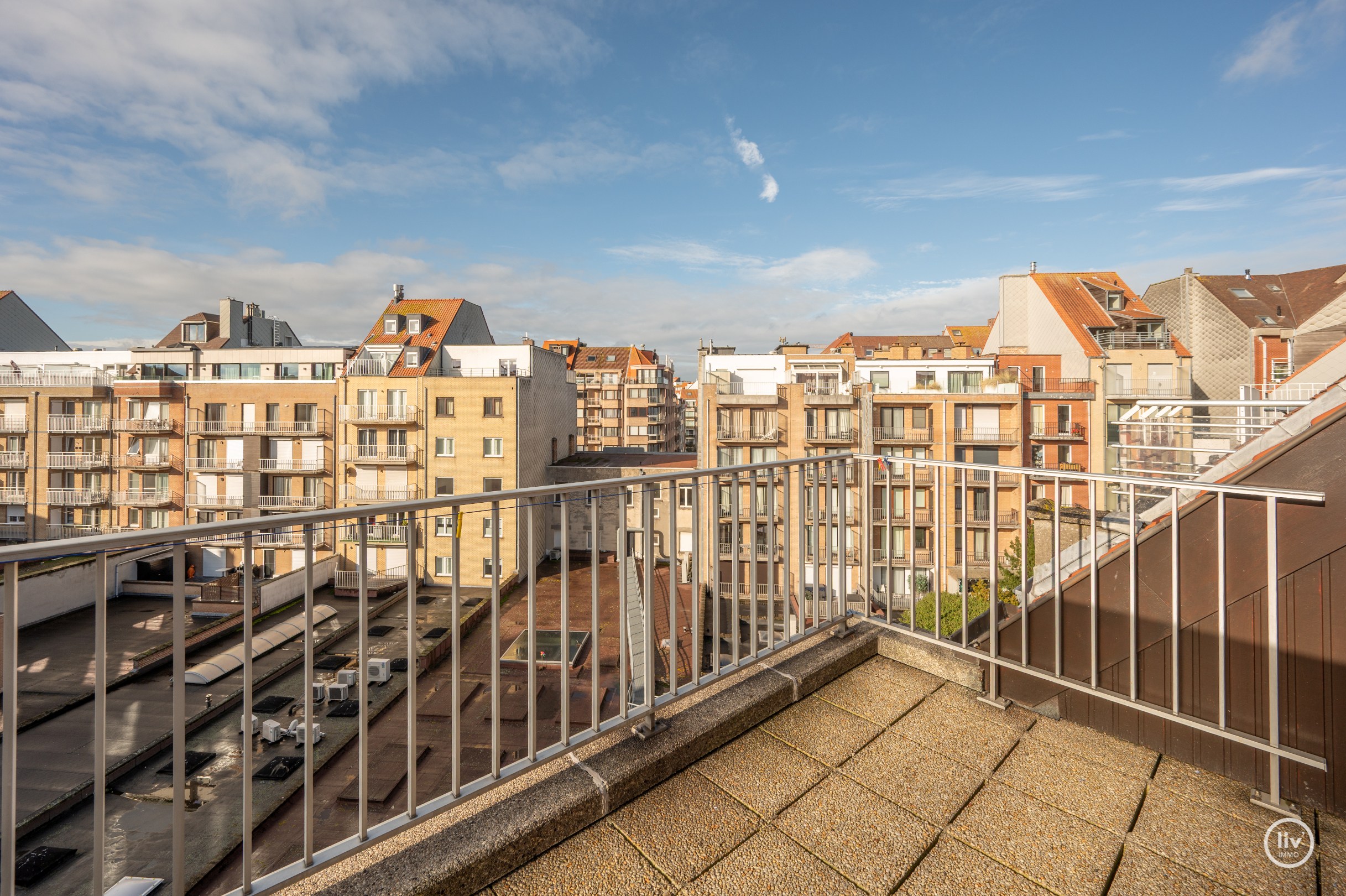 Centraal gelegen triplex-appartement met ruime zonne-terrassen op wandelafstand van de Zeedijk-Albertstrand en Dumortierlaan 