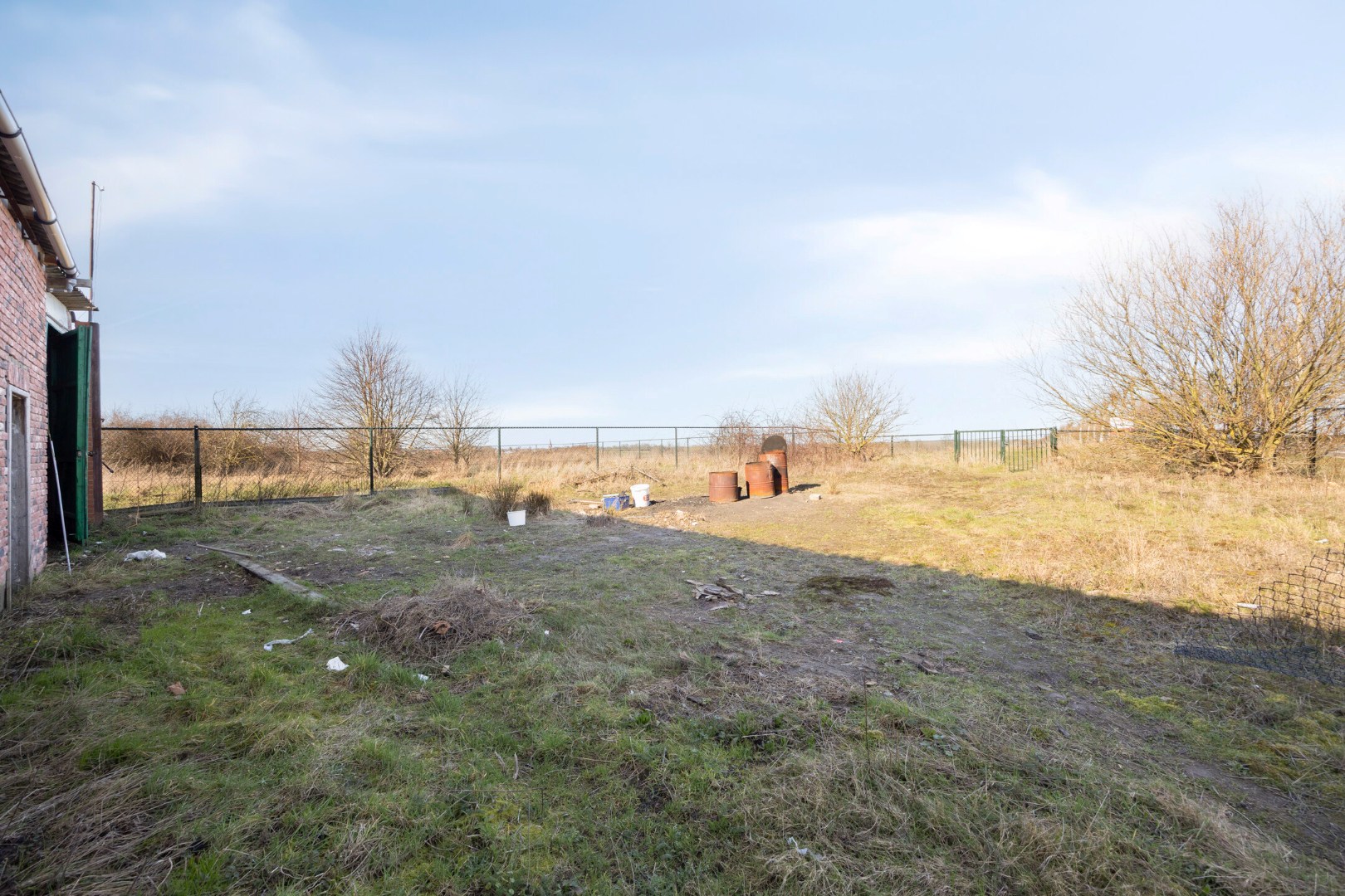 weide naast de schuur