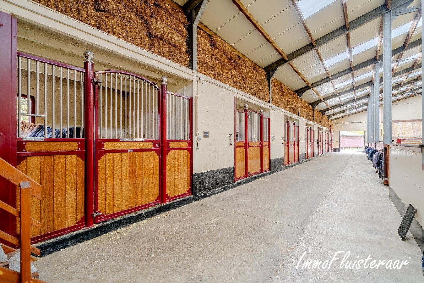 Exclusief Hippisch Complex met Uitstekende Trainingsmogelijkheden op ca 8,6 ha in Wuustwezel 