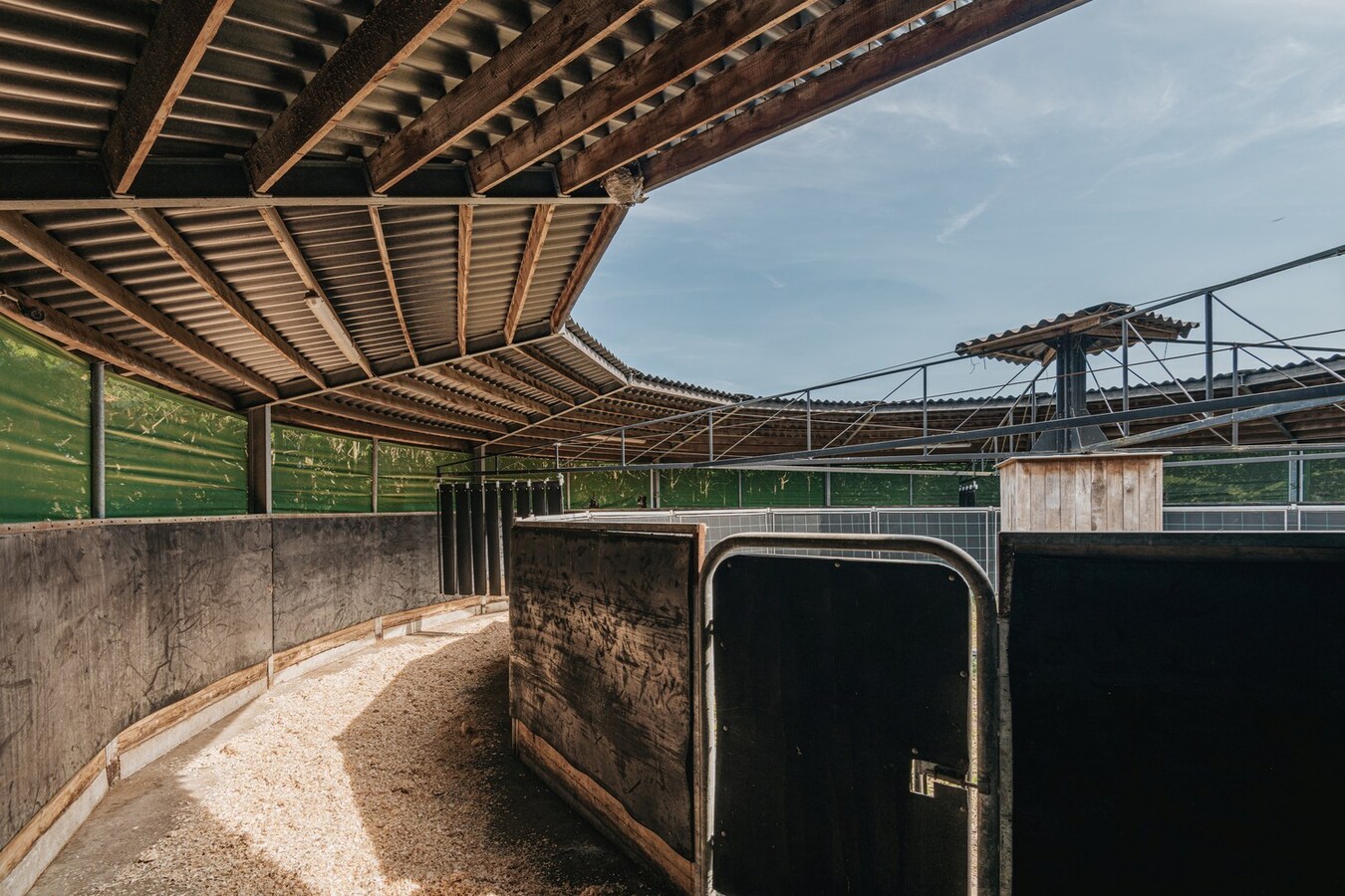 Exclusive equestrian accommodation on approx. 2,5 ha/6,18 acres in Geel (Antwerp region) 