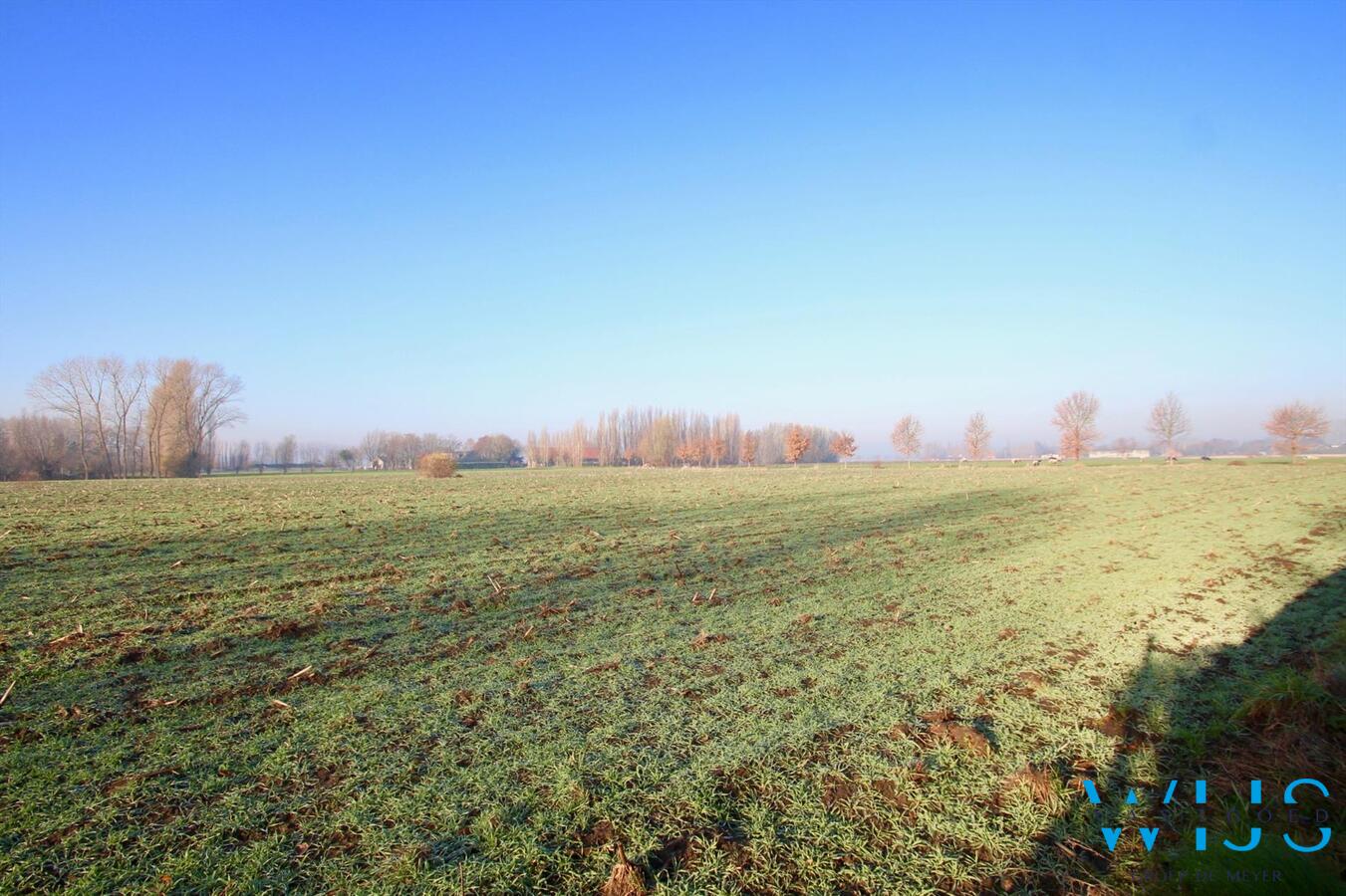 Zeer degelijk woonhuis op een ruim rustig perceel te Bassevelde ! 
