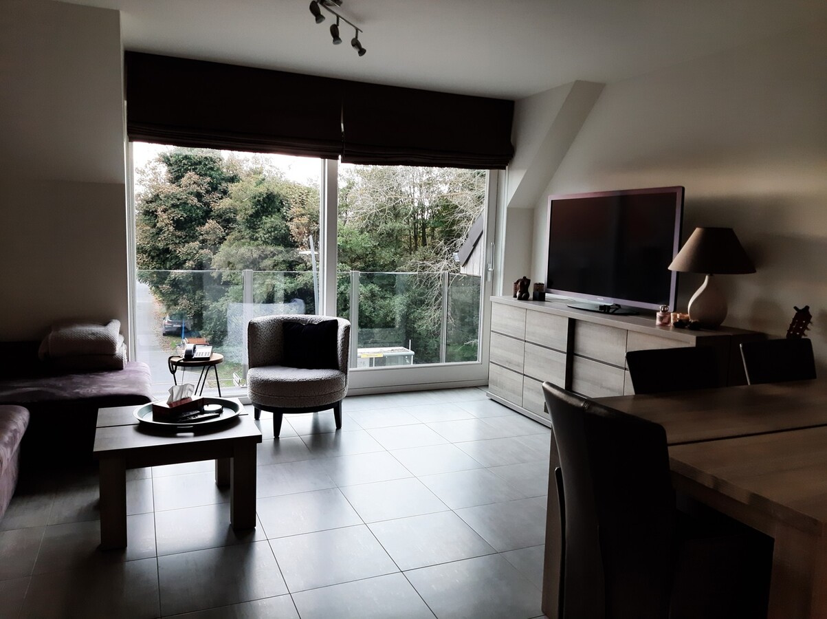 Charmant appartement d'une chambre avec grenier supplémentaire 