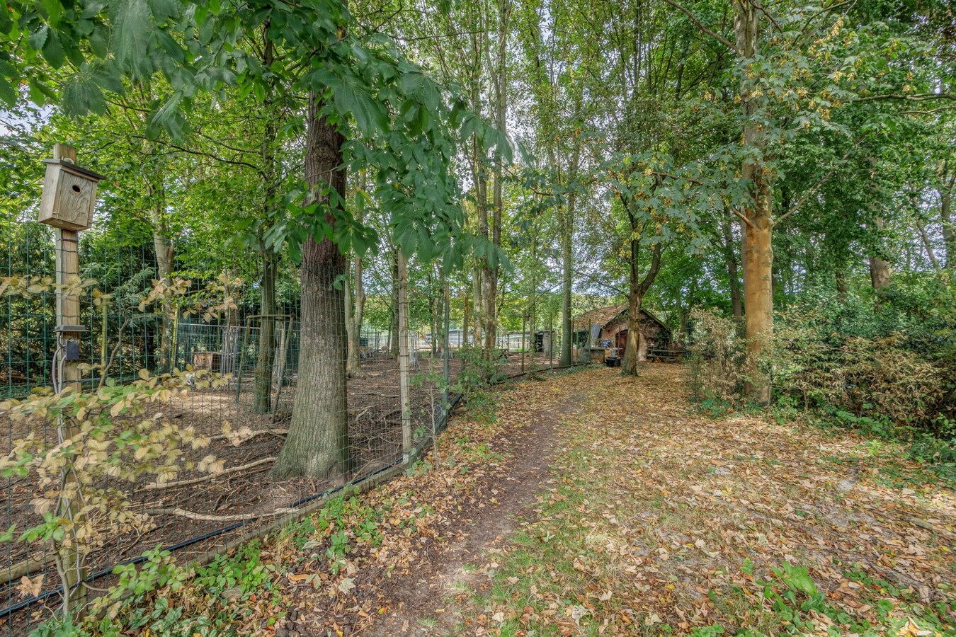 Kangoeroe/praktijk woning met 5 slaapkamers en prachtig open zicht 