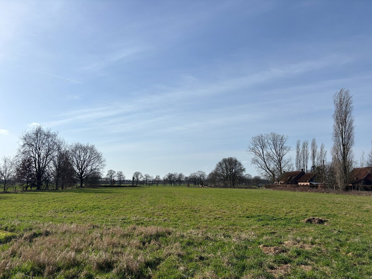 Unieke eigendom op 13.183 m² met te renoveren woning en vergunde stallingen 