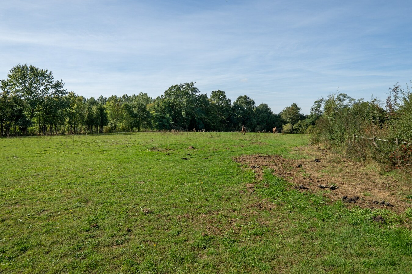 Property for sale in Kortenaken