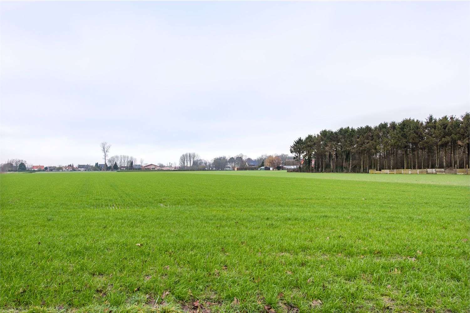 Bungalow verkocht in Wetteren