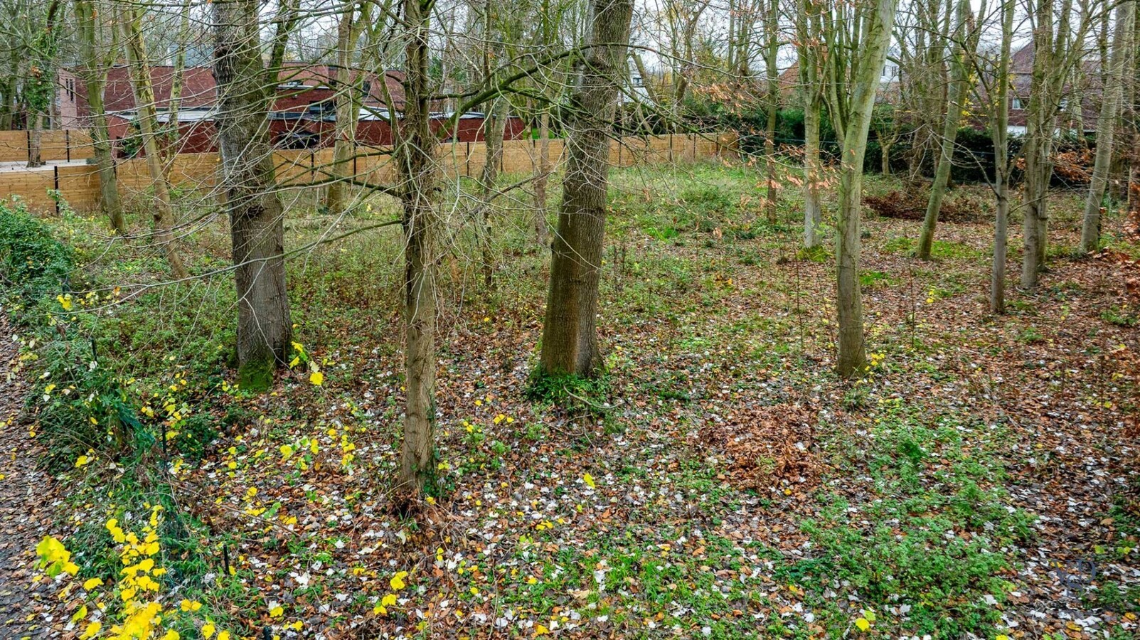 Bouwgrond voor open of halfopen bebouwing. 
