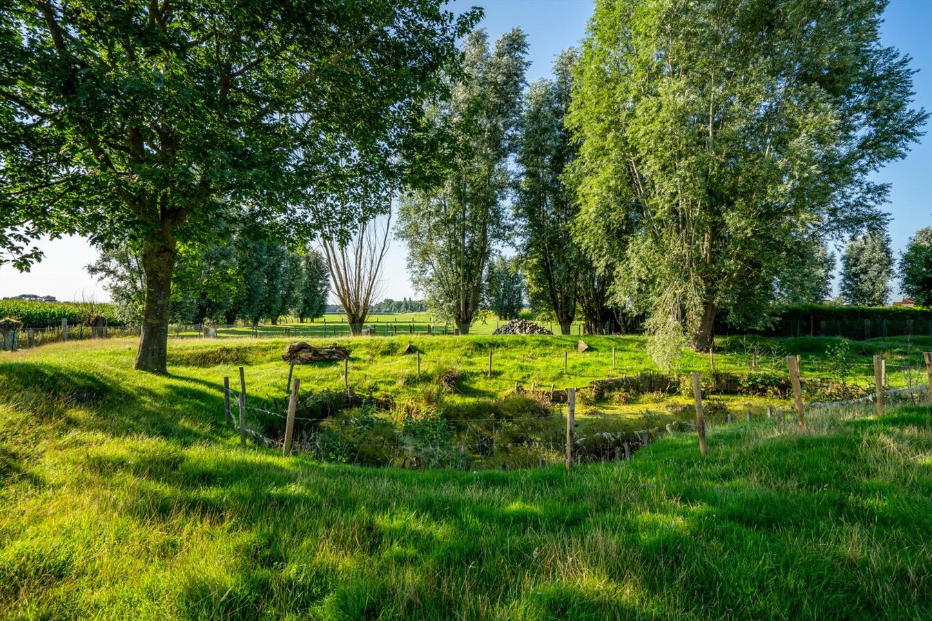 Grote woning met 6 slaapkamers en atelier op 2645 m² te Koekelare 