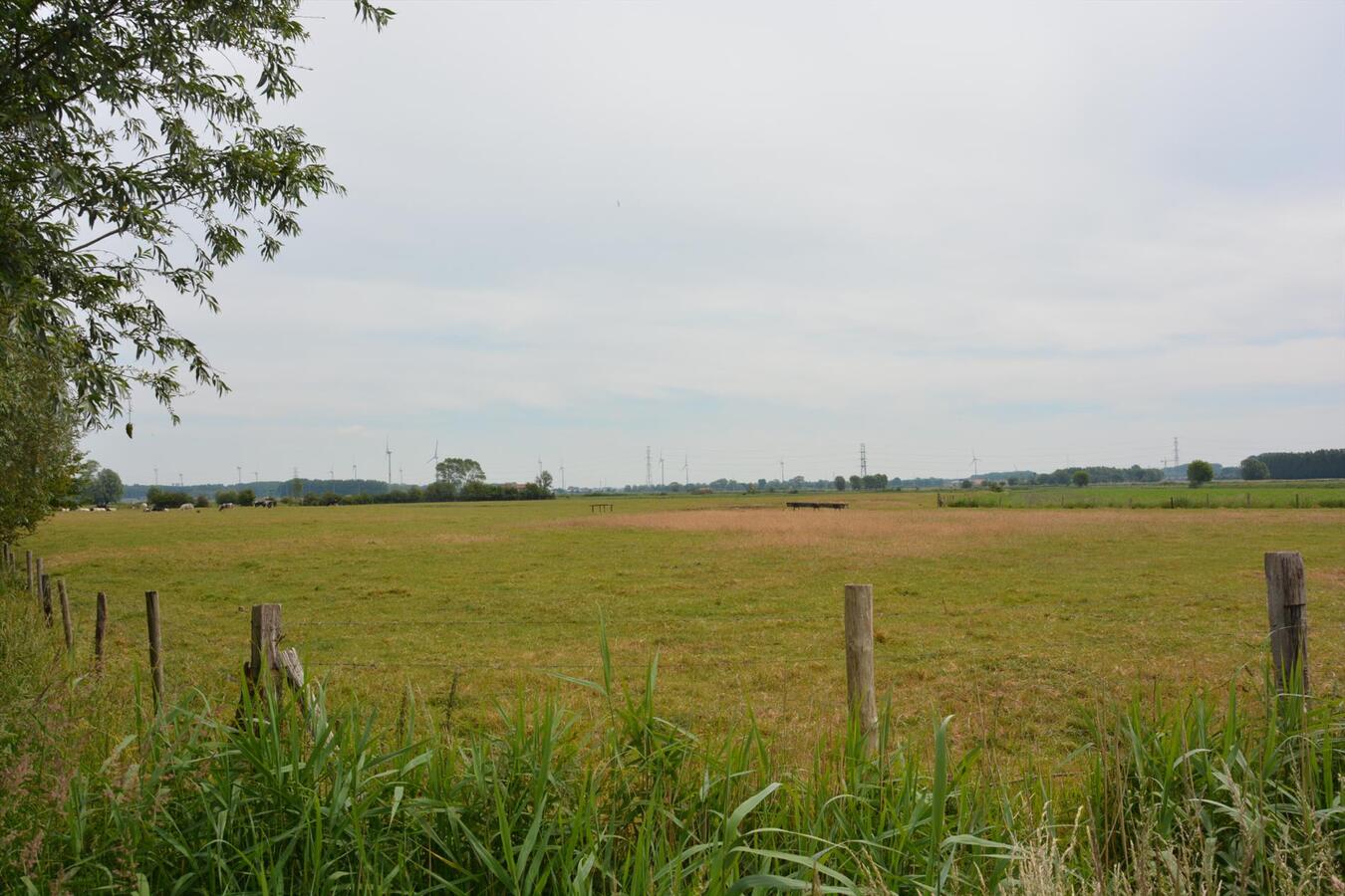 Verkocht - Weiland - Zuienkerke