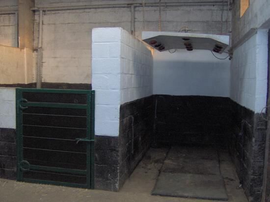 Splendide propriété avec piste couverte et boxes sur environ 1,3ha 