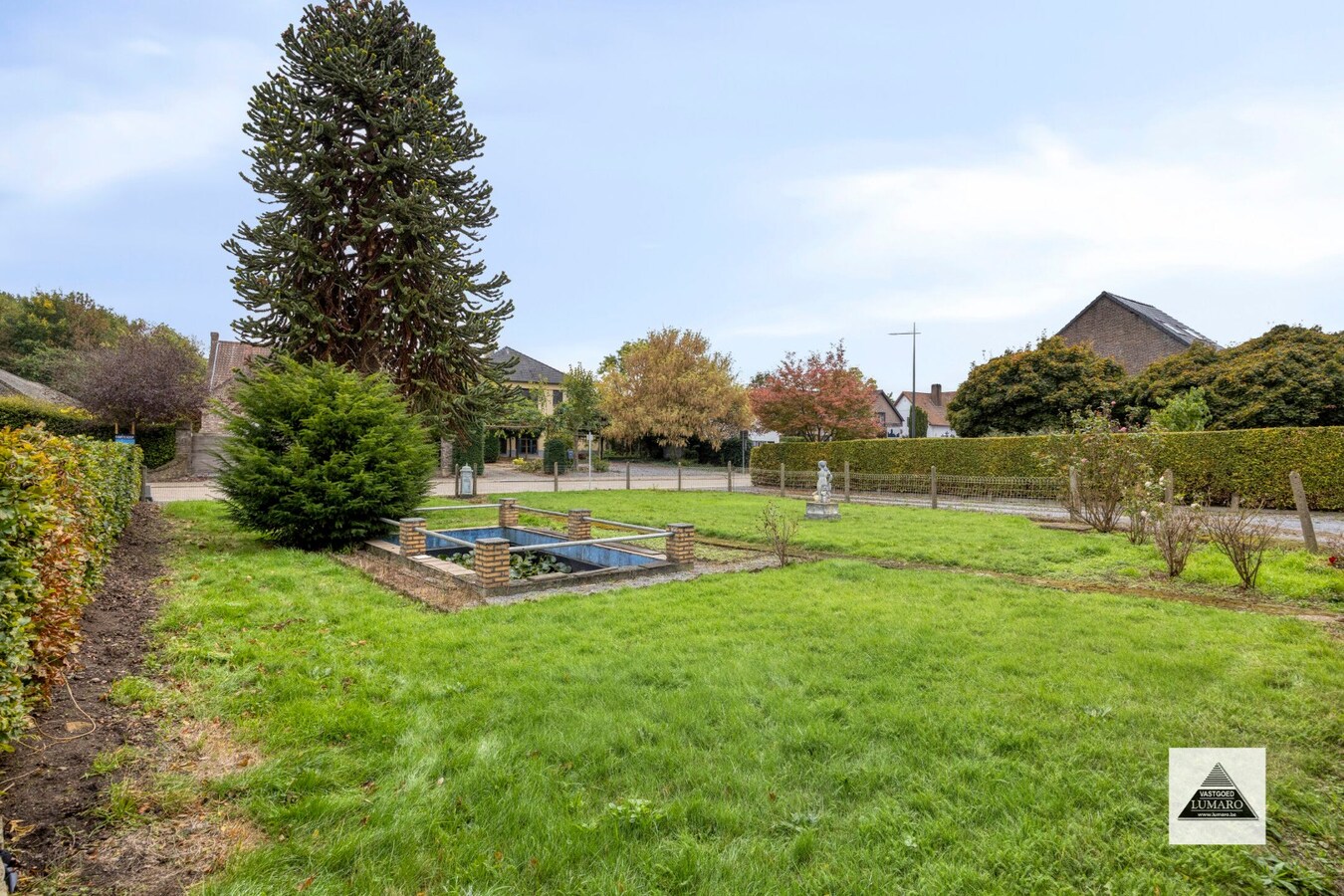 Te renoveren langgevel-hoeve op 3.536 m² in Maasdorp Boorsem 