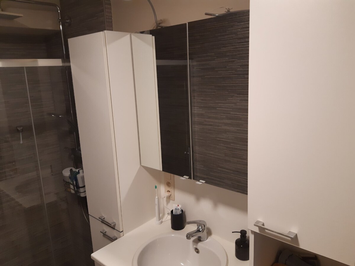 Lichtrijk dakappartement (geen vaste kosten). 