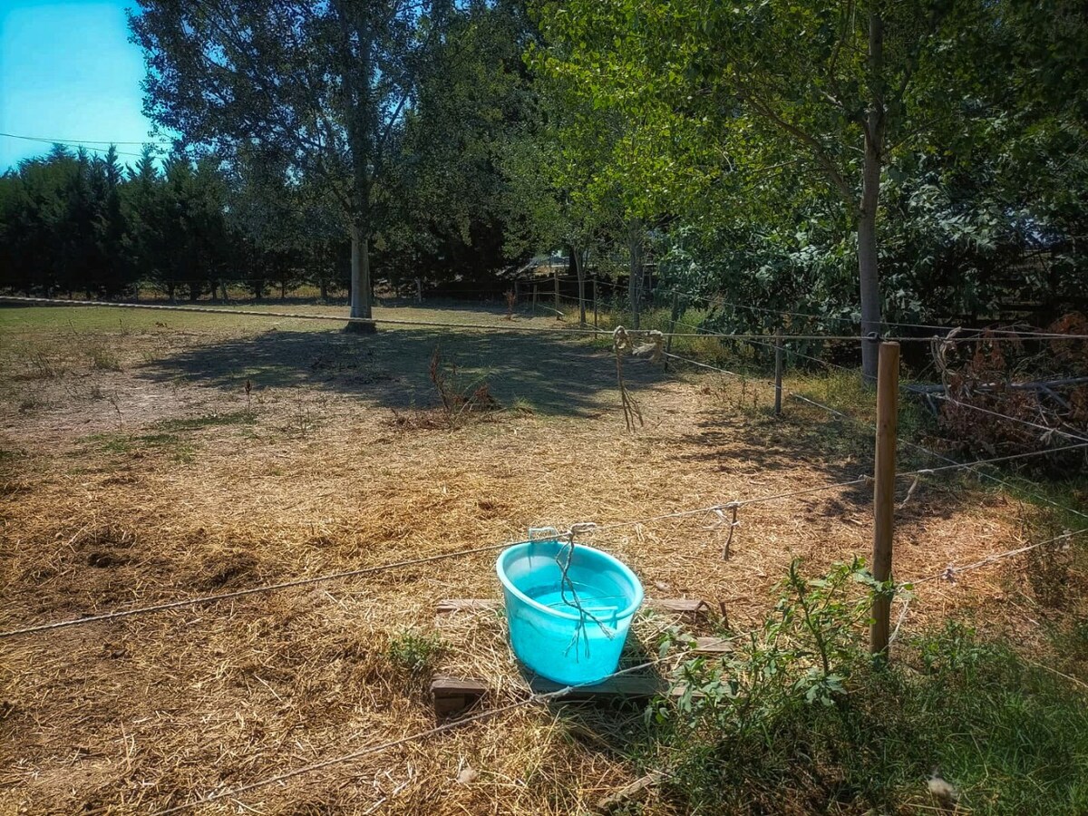 Landelijke hoeve met paardenfaciliteiten op ca. 1,3ha te Riva del Po (Noord-Italië) 