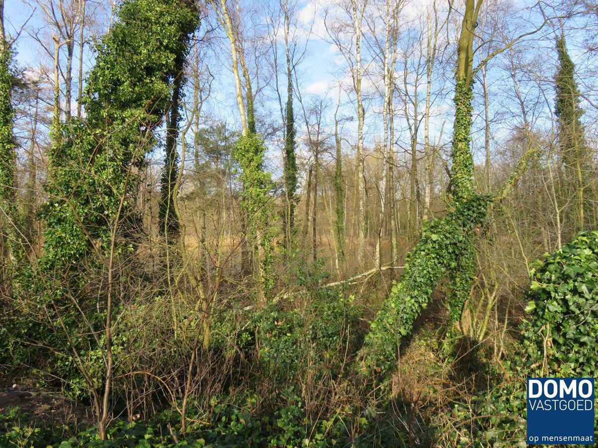 Chalet verkocht in Heusden-Zolder Zolder