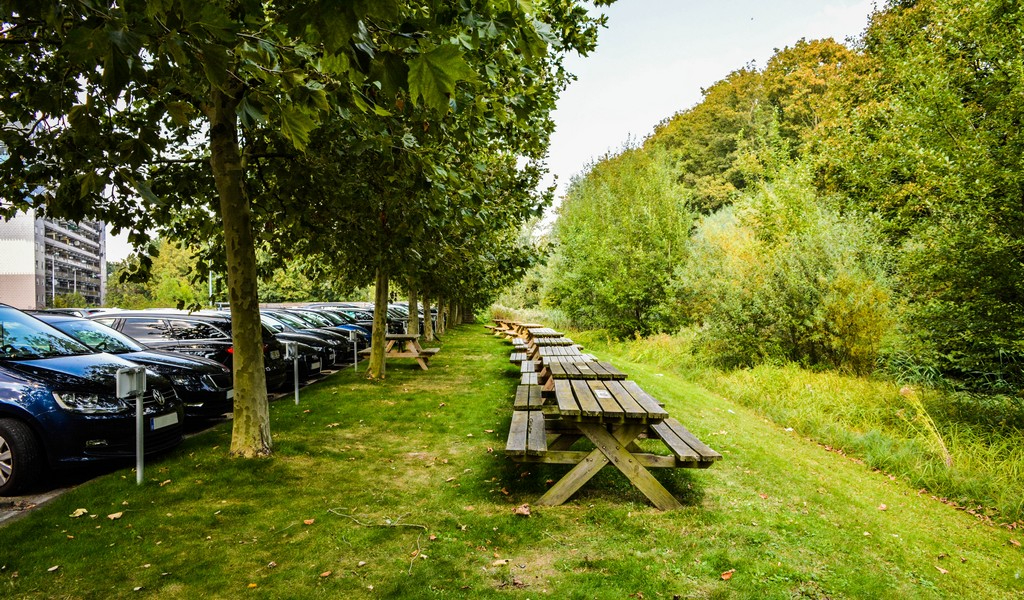 Kantoren te huur met zicht op Schelde in The Office in Gent