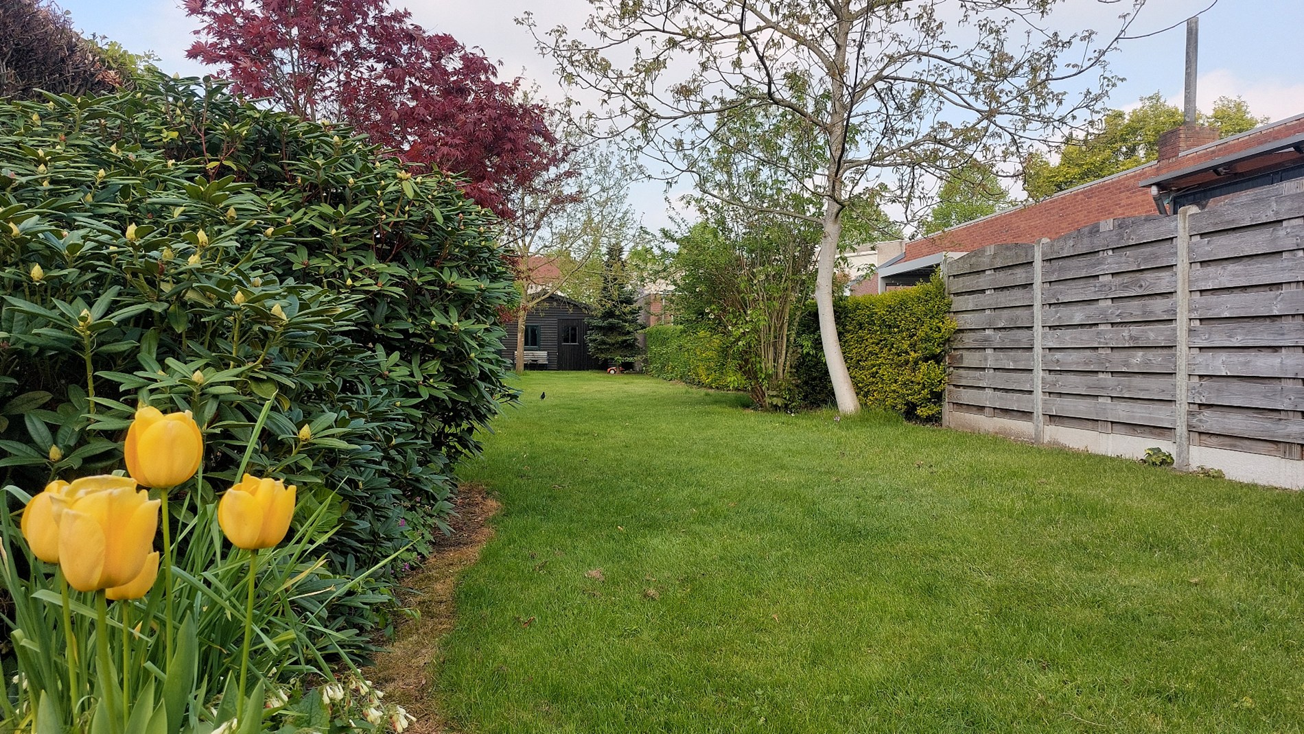 Eengezinswoning te koop in Weert