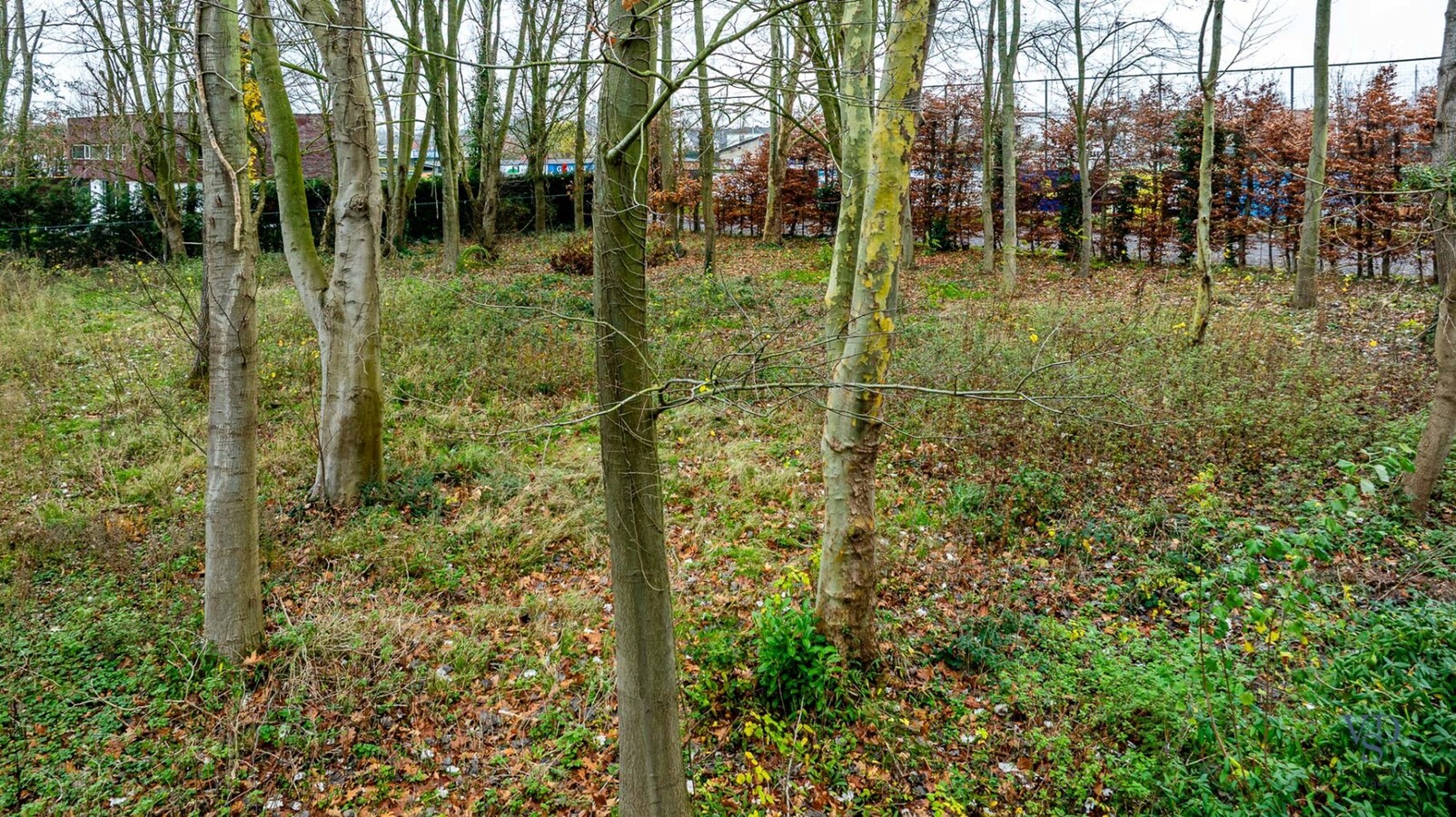 Bouwgrond - wonen tussen de bomen. 