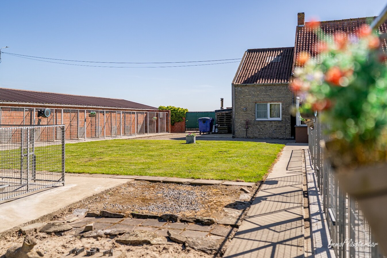 Magnifique domaine avec une villa neuve et un chenil et une pension pour chats agréés à Diksmuide 