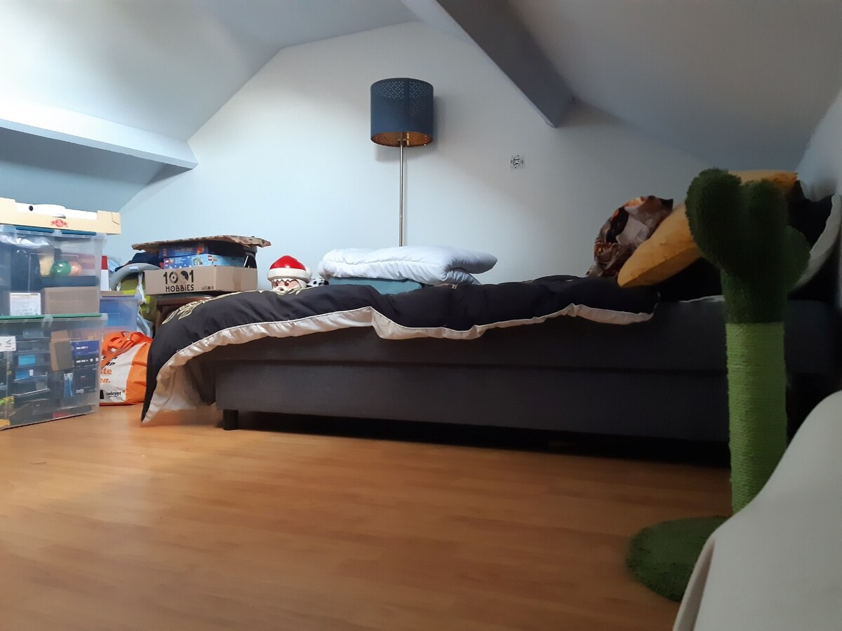 Gezellige woning met garage, tuintje én met uitzicht op de Schelde! 