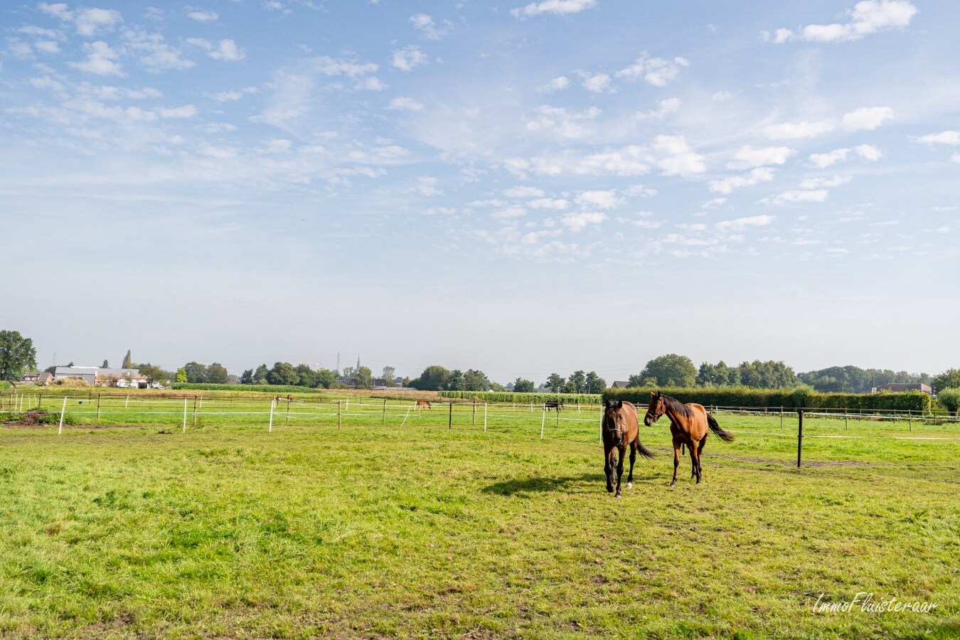 Maison semi-ouverte avec écuries, piste et prairies sur environ 1,5 ha à Sint-Katelijne-Waver (Optionnel : possibilité d'acheter une prairie d'environ 1 ha en plus) 