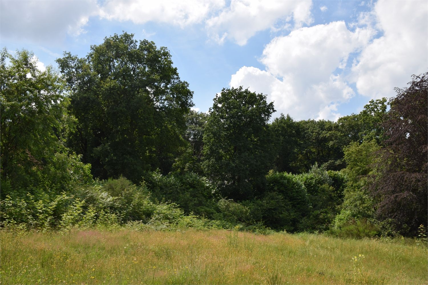 Grond verkocht in Deurle