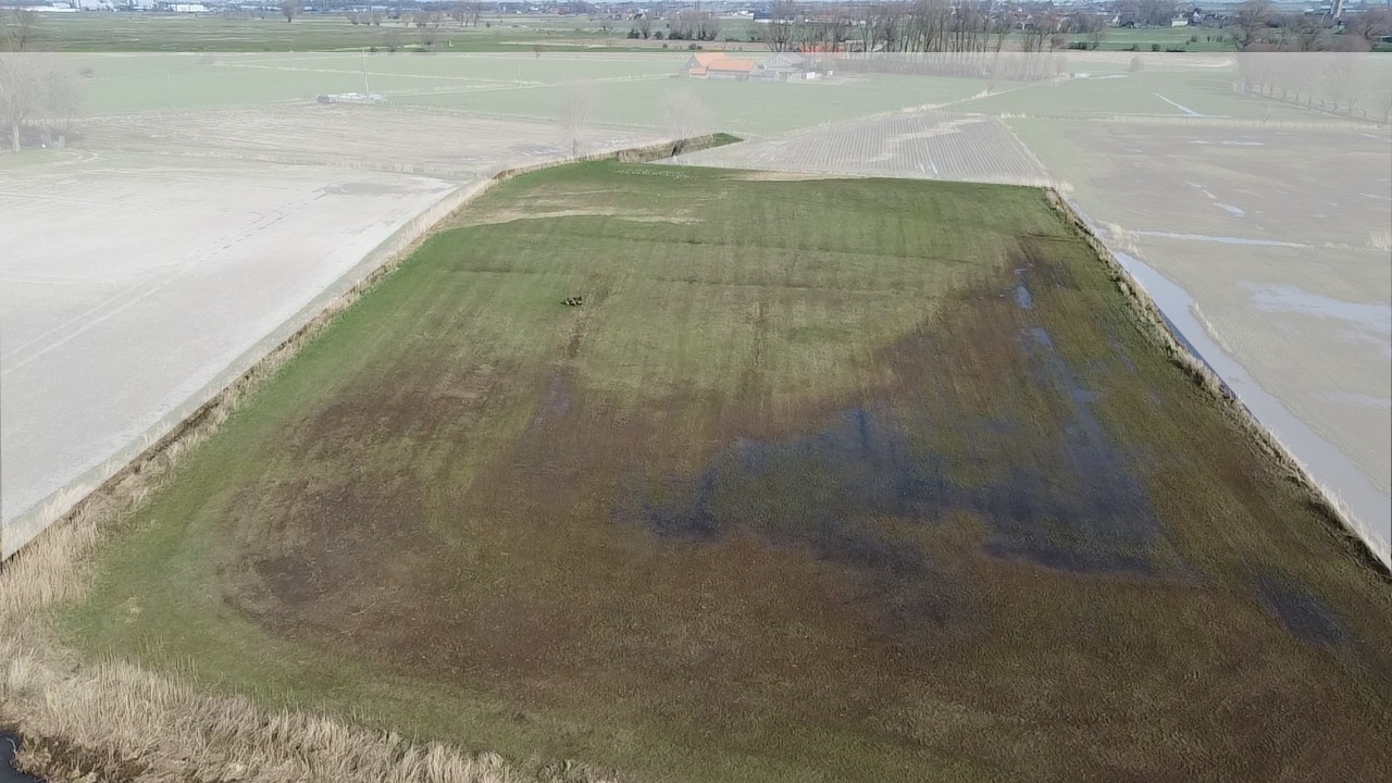 Ruim perceel landbouwgrond nabij de Noorbroekstraat, Woumen van 1ha01a40ca 