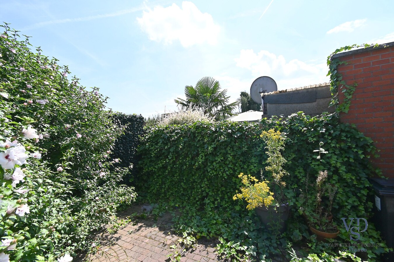 Knusse starterswoning met koertje 