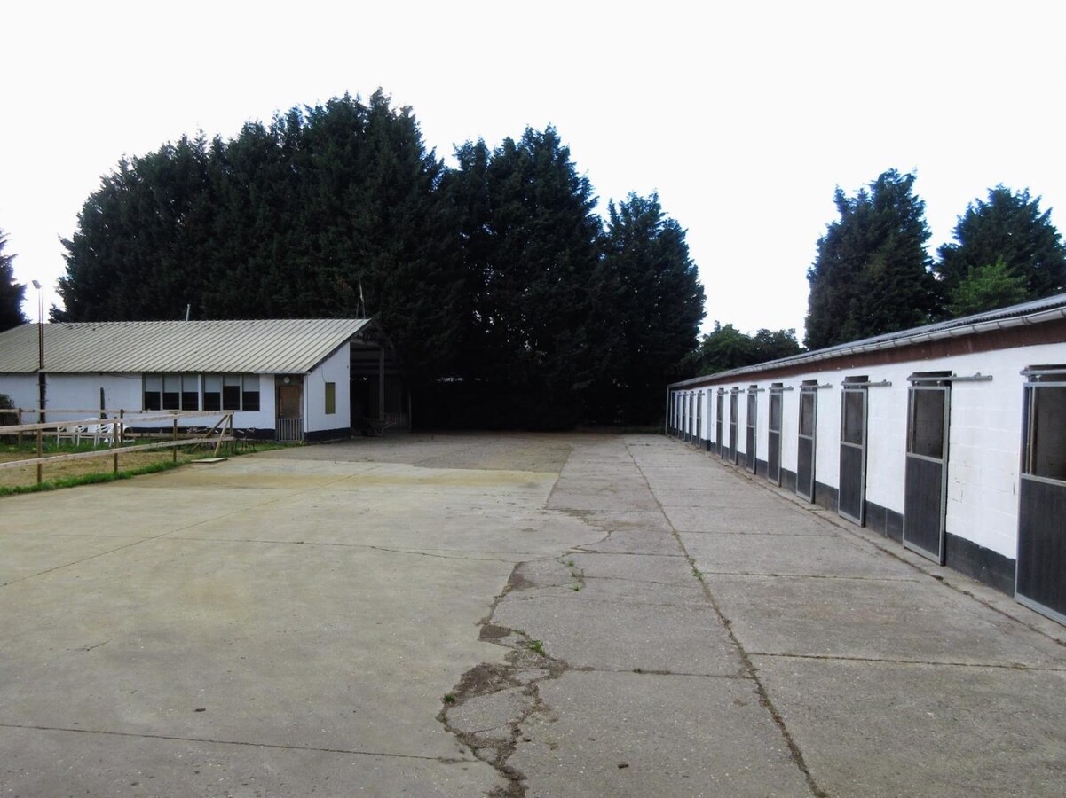 Paardenaccommodatie met 46 stallen, buitenpiste en hangaar op ca. 55 are te Linkhout (Lummen) 