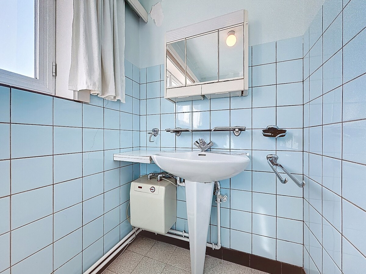 Ruime, karaktervolle woning met zuidgerichte tuin te Hillegem 