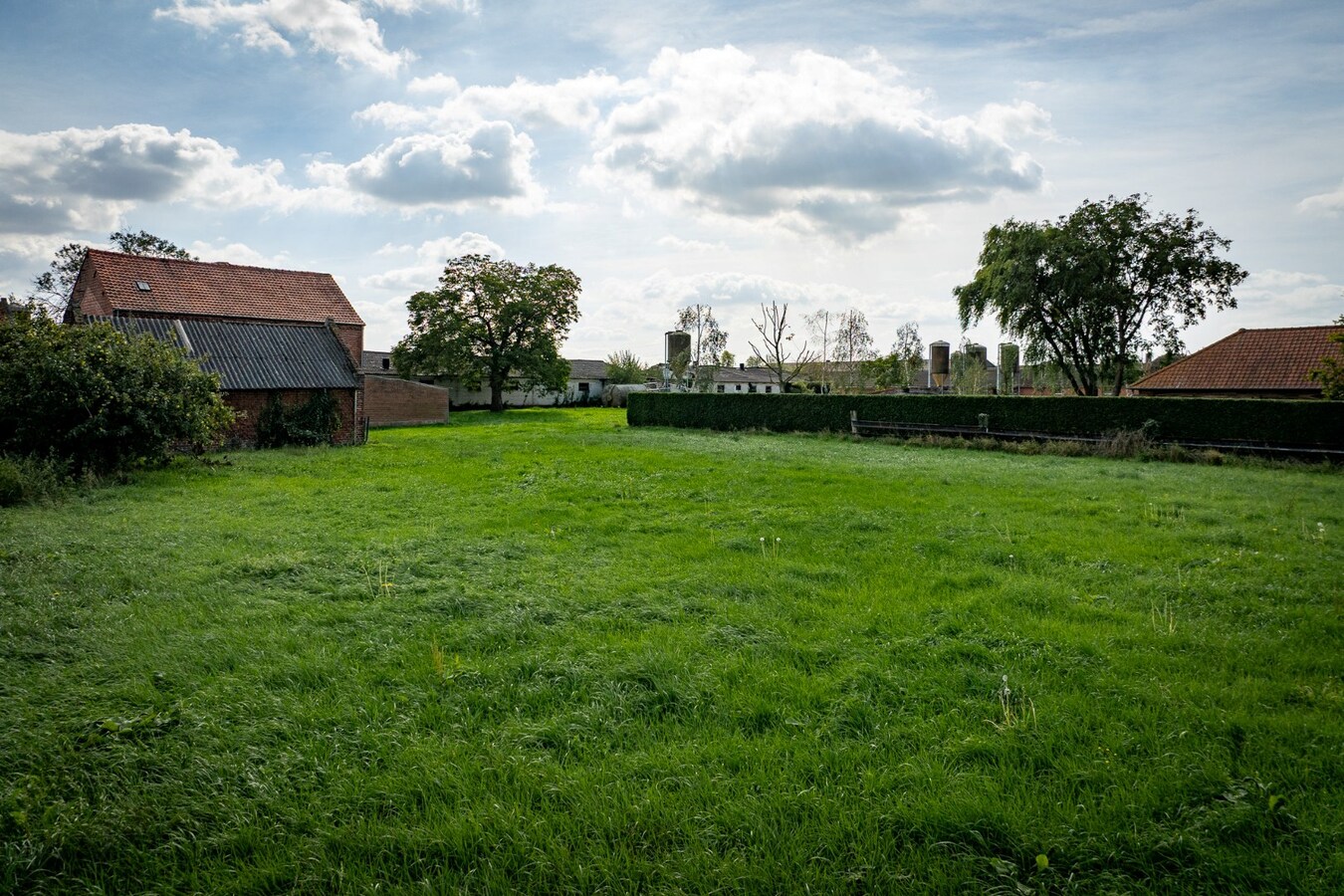 Hoeve met stalgebouwen op ca. 1ha te Bree 