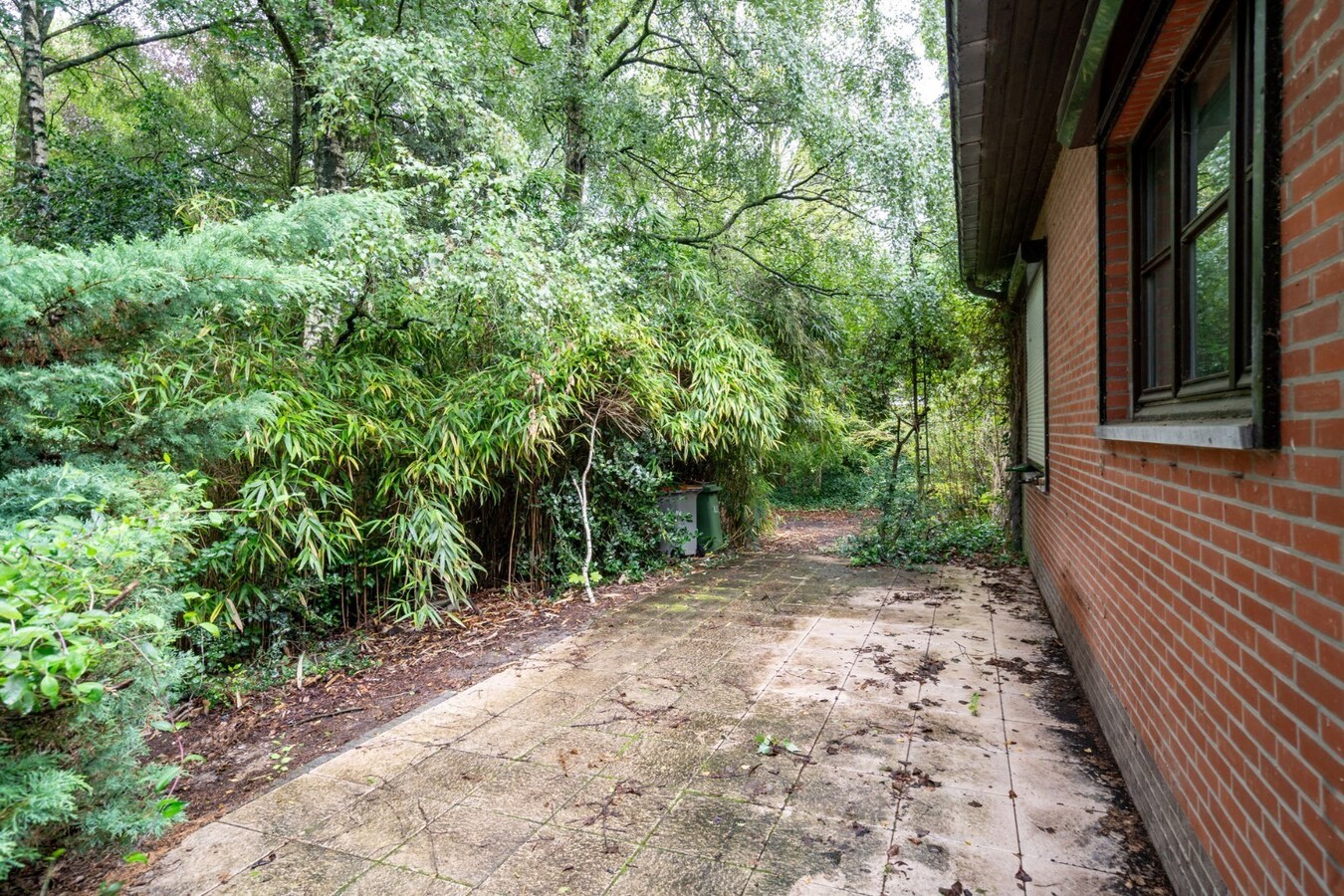 Woning op zeer rustig gelegen en ruim perceel. 