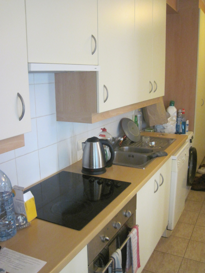 Aangenaam 1-slp-appartement nabij Station (in t groen met terras). 