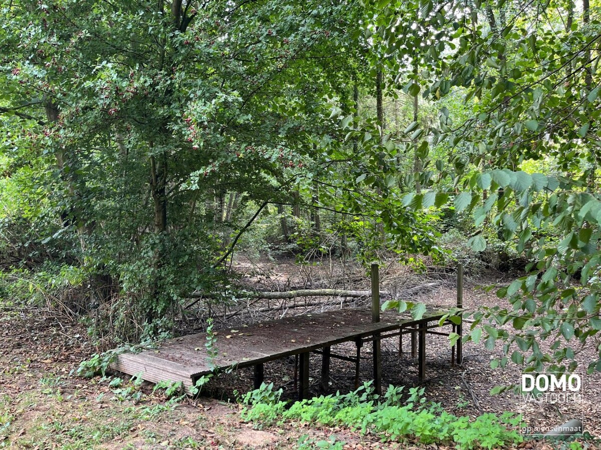 UNIEK DOMEIN MET OFF-GRID VAKANTIEWONING, SCHUUR EN 2 VIJVERS OP 1 HA 41 A 