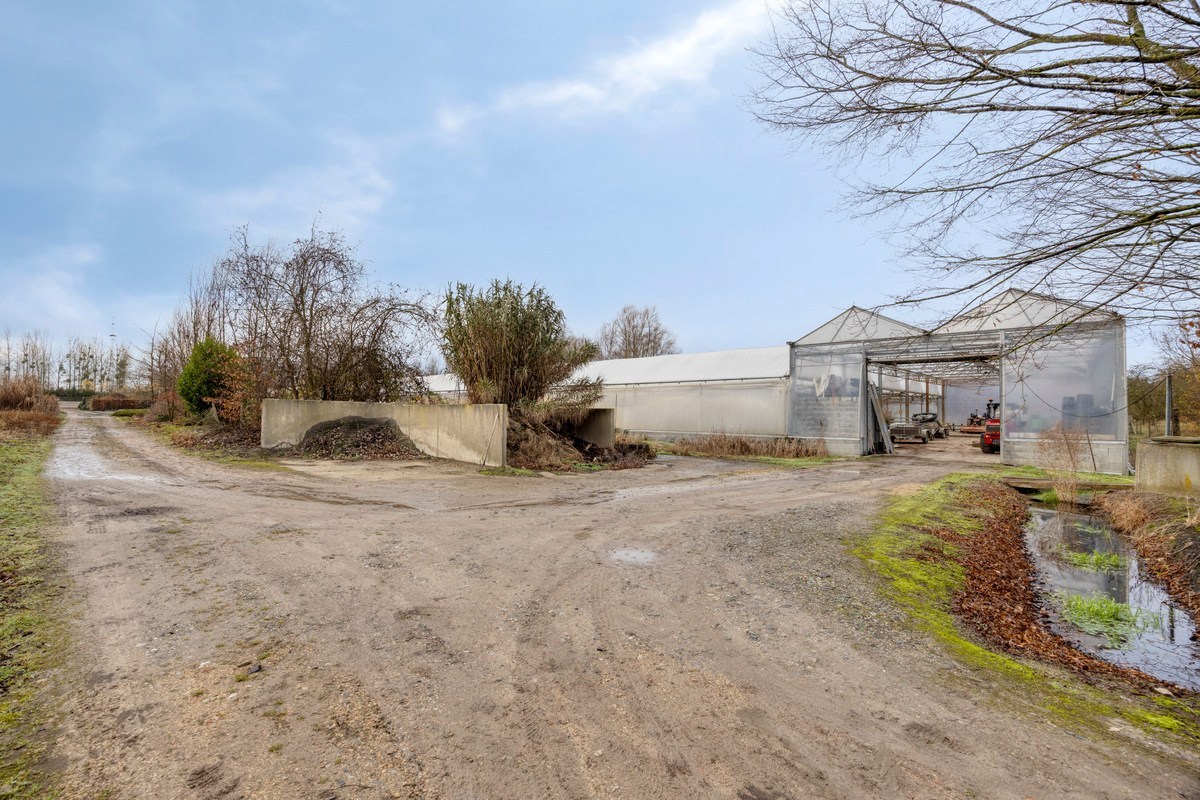 Tuinbouwcentrum met ruime woning op een perceel van 4,26 hectare 